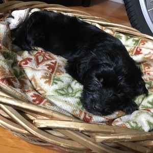 Meet your Posher, Valerie